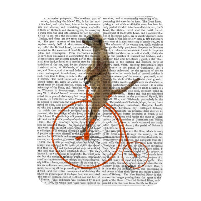 Íman Meerkat em Orange Penny Farthing (Vertical)