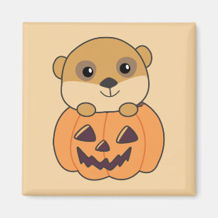 Íman Meerkat Em Pumpkin Cute Animal Feliz Mães De Hallo
