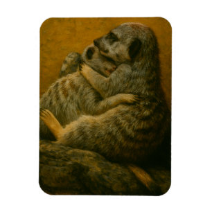 Íman Meerkat Embrace - Heart Wildlife Art Impressão