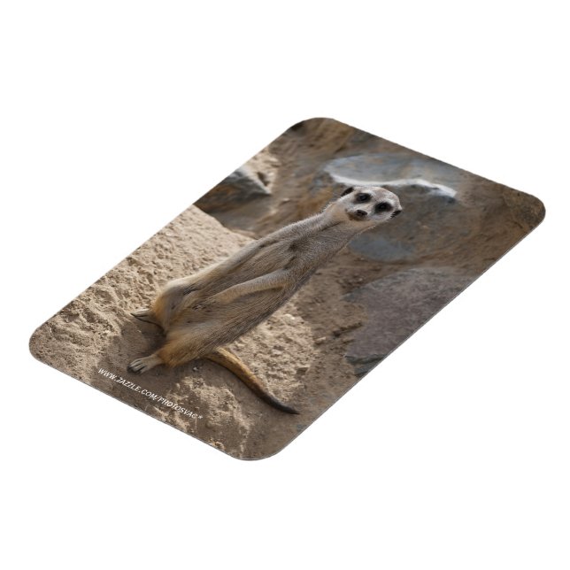 Íman Meerkat Incrível (Left Side)