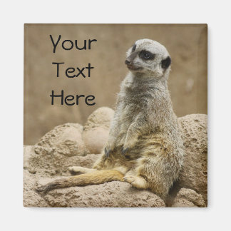 Íman Meerkat Magnet