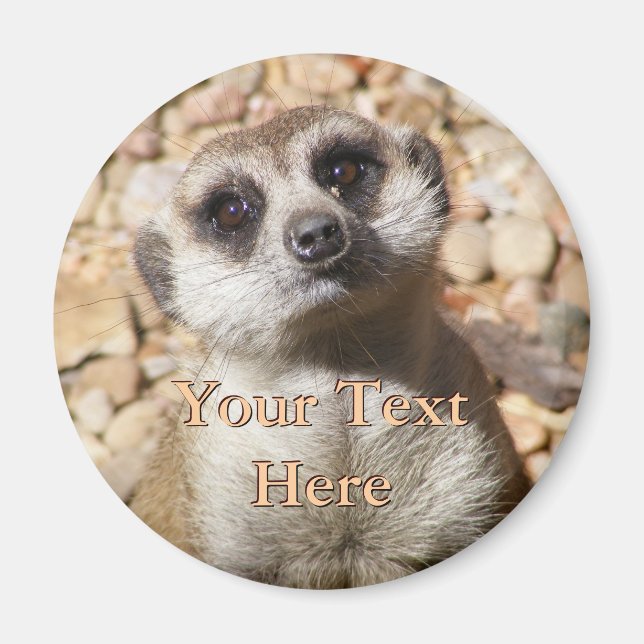 Íman Meerkat Magnet (Frente)