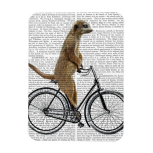 Íman Meerkat na Bicicleta