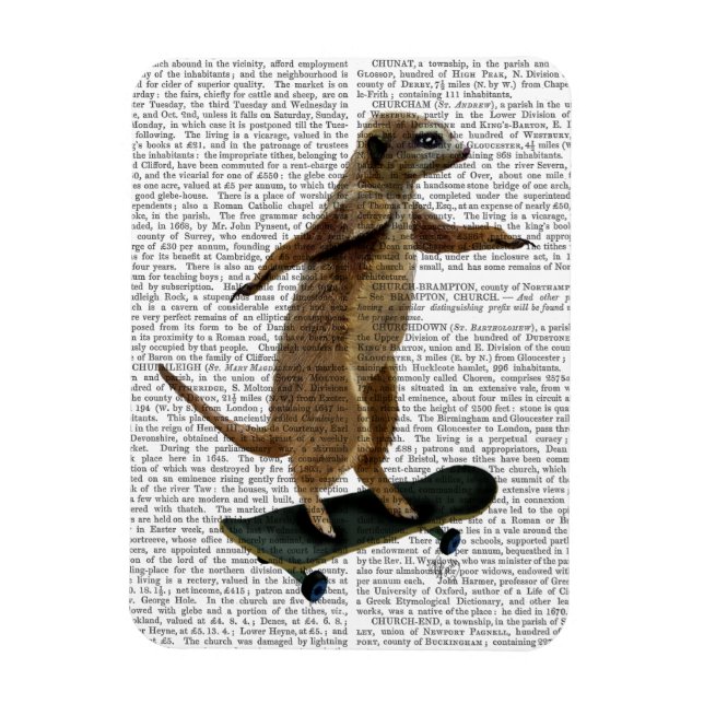 Íman Meerkat No Skateboard 2 (Vertical)