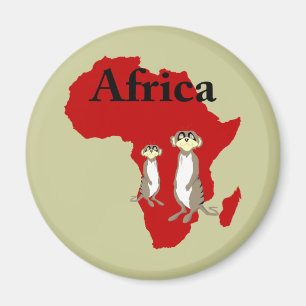 Íman Meerkats de África
