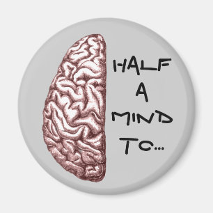 Íman Meio ímã mental