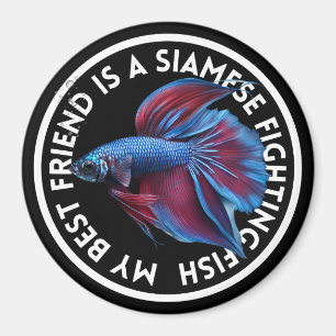 Íman Melhor Amigo Azul Betta Fish