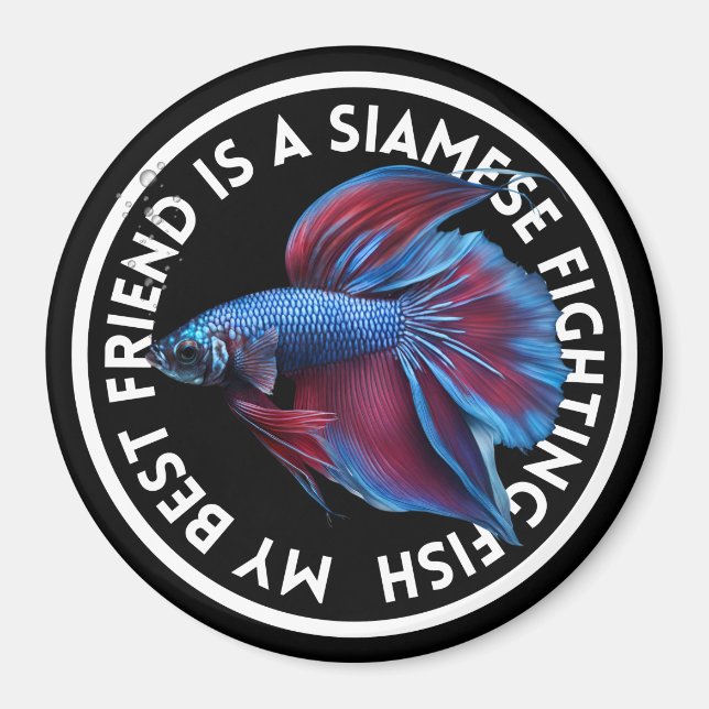 Íman Melhor Amigo Azul Betta Fish (Frente)