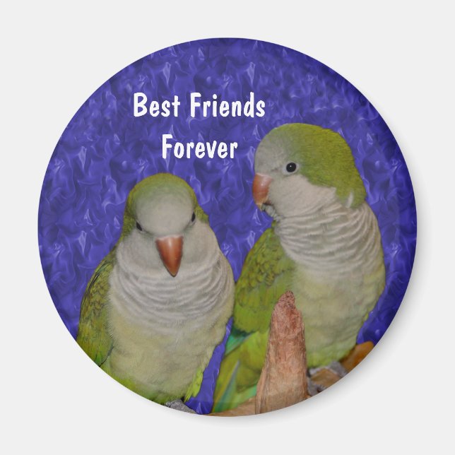 Íman Melhor Amigos, Quaker Parrots, Magnet (Frente)