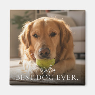 Íman Melhor Cachorro de Todos Nome e Foto do Seu Pet