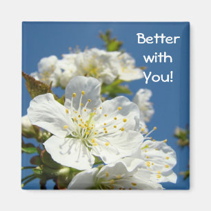 Íman Melhor com Você! ímãs Flores de Cerejeira na Prima