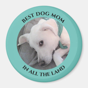 Íman Melhor Mãe de Cão Foto de Mães Azuis de Cachorr