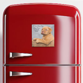 Íman Melhor Mama de Cachorros Nunca Personalizável