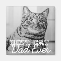 Melhor Pai De Gato De Foto Personalizada De Pet Mo