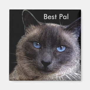 Íman "MELHOR PAL" Gato Siamês
