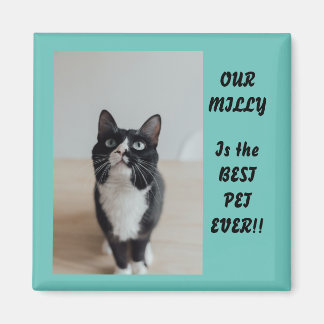 Íman Melhor Pet De Fotografia Personalizada Nunca