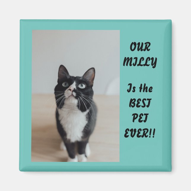 Íman Melhor Pet De Fotografia Personalizada Nunca (Frente)