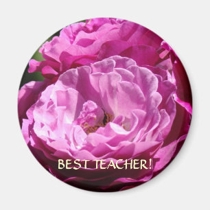 Íman MELHOR PROFESSOR Presente Rosa Ímã Rosas Natal