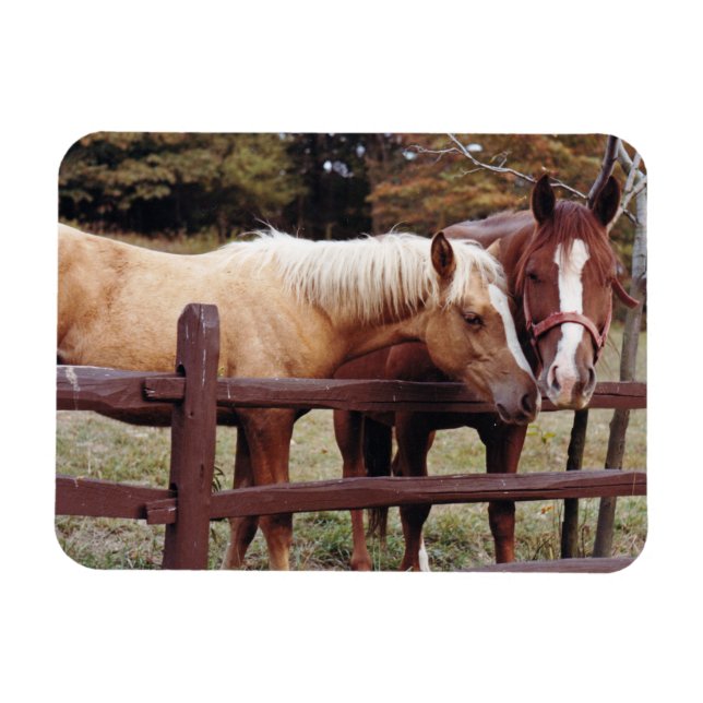 Íman Melhores Amigos (Horizontal)