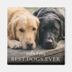 Íman Melhores Cães de Todos os Tempos Nome e Foto do Se