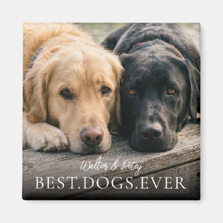 Íman Melhores Cães de Todos os Tempos Nome e Foto do Se