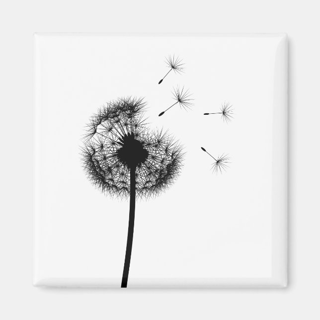 Íman Melhores Desejos do Magnete Dandelion Negro (Frente)