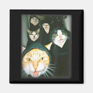 Íman Meme de Gangue de Gato Engraçado Caótico Gatos Des