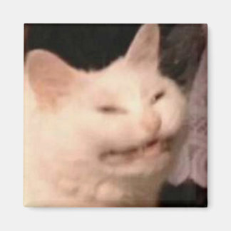 Íman Meme de gato Cringe