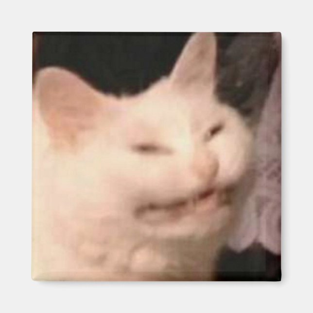 Íman Meme de gato Cringe (Frente)
