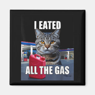 Íman Meme de Gato Engraçado Eu Comi Quis Todo O Gás Eng