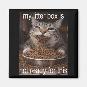Íman Meme de gato faminto engraçado antes da caixa de a