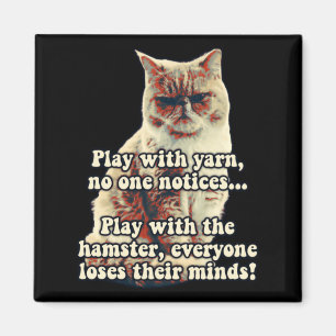 Íman Meme de gato zangado engraçado para pessoas de gat