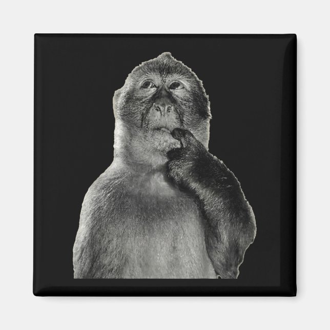 Íman Meme de Macaco Engraçado com Estilo de Arte de Hum (Frente)