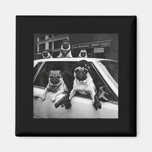 Íman Meme de pug engraçado pug gangster cachorro estilo