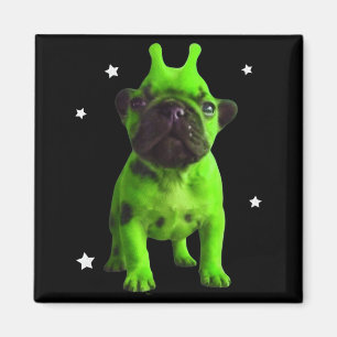 Íman Meme do Cão Alien Retrô Cão Bobo Espaço Vintage Pi
