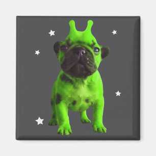 Íman Meme do Cão Alienígena Retro Cão Bobo Espaço Vinta
