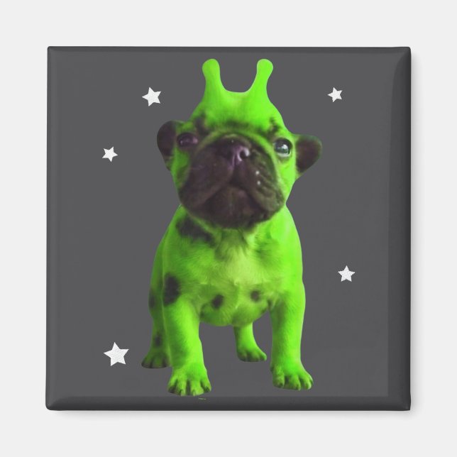 Íman Meme do Cão Alienígena Retro Cão Bobo Espaço Vinta (Frente)