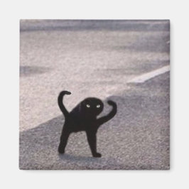 Íman Meme do gato amaldiçoado