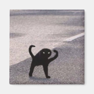 Íman Meme do gato amaldiçoado