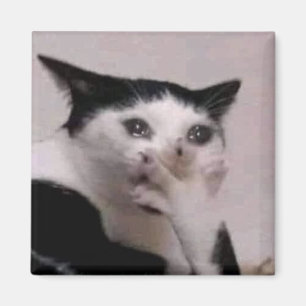 Íman Meme do Gato Gasp