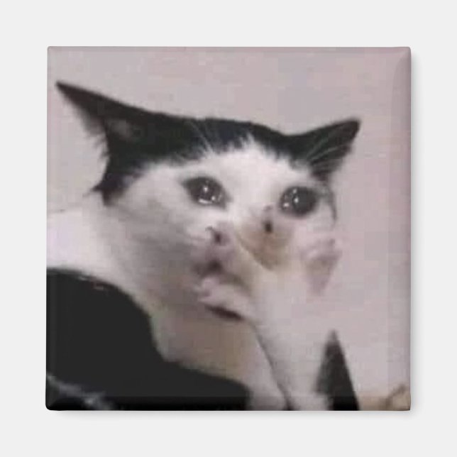 Íman Meme do Gato Gasp (Frente)