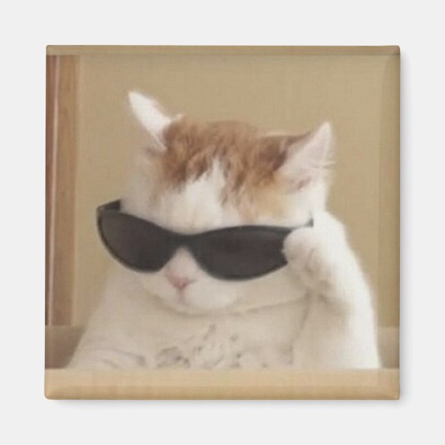 Íman Meme do gato legal (Frente)