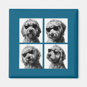 Íman Meme engraçado do Goldendoodle Foto de cabine de f
