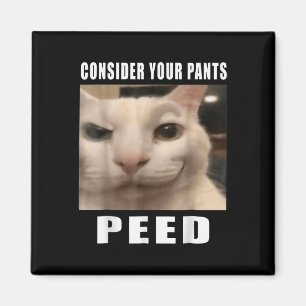 Íman Memes De Gato De Bobo Engraçados Por 919 Designs C