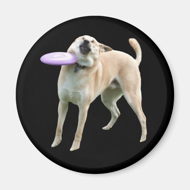 Íman Memória do Cachorro Frisbee (Frente)