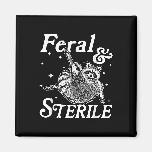 Íman Memória Feral E Estéril, Funny Raccoon (Frente)