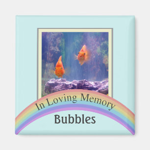 Íman Memorial customizável do animal de estimação da