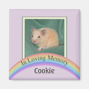 Íman Memorial customizável do animal de estimação da