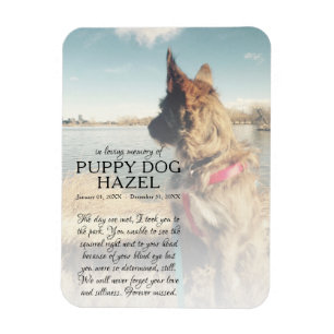 Íman memorial de fotografias do lado direito