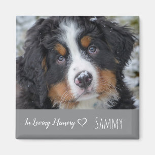 Íman Memorial de Pet Photo - Dog Lover Keepsaokê - Pet